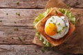 Croque madame sandwich closeup on the table horizontal top view