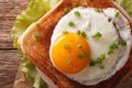 Croque madame sandwich with a fried egg close-up. horizontal top Royalty Free Stock Photo