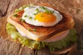 Croque Madame sandwich on a table close-up. horizontal Royalty Free Stock Photo
