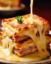 Croque Monsieur is a classic French grilled sandwich