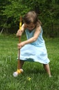 Croquet Royalty Free Stock Photo