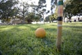 Croquet game in park Royalty Free Stock Photo