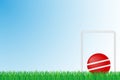 Croquet grass field vector illustration Royalty Free Stock Photo