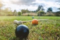 Croquet outdoor game on a lawn Royalty Free Stock Photo