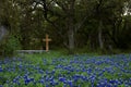 Cross and bench at Easter