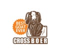 CROSS BOER GOAT FACE POSTER