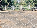 Cross chain link fencing grills with bike parking visible in the background