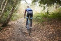 Cross-country cyclist riding on a forest trail, back view Royalty Free Stock Photo