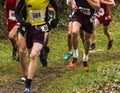 Cross country runners on a wet dirt path racing Royalty Free Stock Photo