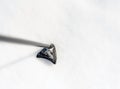 Cross Country Ski Stick Pole in Snow Royalty Free Stock Photo