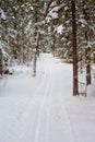 Cross-country ski track Royalty Free Stock Photo