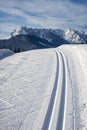 Cross country ski track Royalty Free Stock Photo