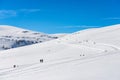 Cross-country Ski Track and Snowy Footpath on the Lessinia Plateau - Veneto Italy