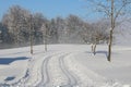 Cross Country Ski Tracks in the Austrian alps, Winter Mountains. Royalty Free Stock Photo