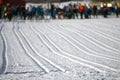 Cross Country Ski Tracks in Engadin Switzerland Royalty Free Stock Photo