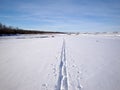 Cross country ski tracks in fresh snow Royalty Free Stock Photo