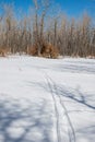 Cross Country Ski Tracks in fresh Snow Royalty Free Stock Photo