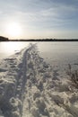 Cross Country Ski Tracks on Lake Royalty Free Stock Photo