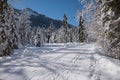 Cross-country ski tracks near kreuth, upper bavaria Royalty Free Stock Photo