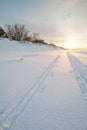 Cross country ski tracks at seaside Royalty Free Stock Photo