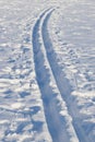 Cross-country ski tracks Royalty Free Stock Photo