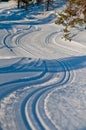 Cross country ski Royalty Free Stock Photo