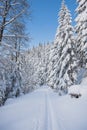 Cross-country ski trail during morning sunrise ready for runners. Winter activities during the perfect winter in Beskydy montains Royalty Free Stock Photo