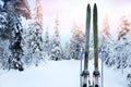 Cross country ski trail with retro wood skis and ski poles