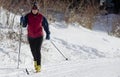 Cross Country Skier Royalty Free Stock Photo