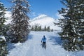 Cross-country skier on a perfect winter day Royalty Free Stock Photo