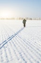 Cross-country skier skiing through winter field