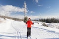 Cross country skier