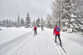 Cross-country skiers. Royalty Free Stock Photo