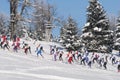 Cross country skiers running in forest