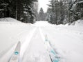 Cross country skiing Royalty Free Stock Photo