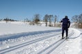 Cross-country skiing Royalty Free Stock Photo