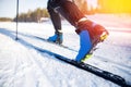 Cross country skiing Banner, winter sport on snowy track, sunset background Royalty Free Stock Photo