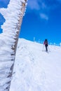 Cross-country skiing. Fenced hiking path to mountain on a sunny day in winter, Giant mountains. Tourist is treading to