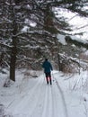 Cross Country Skiing through forest