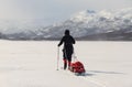 Cross country skiing on Kungsleden