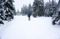 Cross-country skiing Royalty Free Stock Photo
