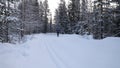 Cross country skiing - man with skis on snowy winter forest ski track. Yllas, Finland