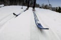 Cross-country skiing Royalty Free Stock Photo