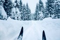 Cross-country skiing in the mountains, trees covered by fresh snow Royalty Free Stock Photo