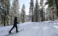 Cross Country Skiing near Truckee, California.