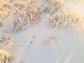 Cross country skiing slope with people skiing