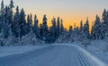 Cross country skiing slope running through a snow covered frozen forest at dusk Royalty Free Stock Photo