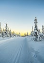 Cross country skiing slope running through a snow covered frozen forest at dusk Royalty Free Stock Photo