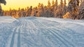 Cross country skiing slope running through a snow covered frozen forest at dusk Royalty Free Stock Photo