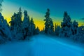 Cross country skiing slope running through a snow covered frozen forest at dusk